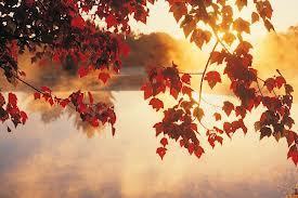 fall