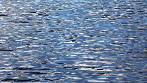 Our Watery Minds