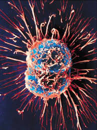 Read more about the article Homeopathy and Cancer