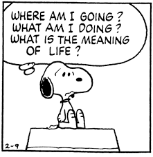 Read more about the article What Is the Meaning of Life?