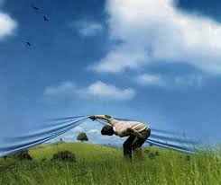 Read more about the article The Collapse of Consensus Reality