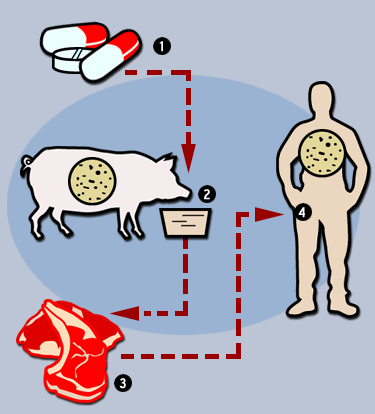 Antibiotics — Is There Another Way?