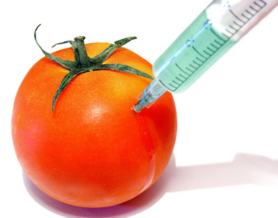 The Dangers of GMO Foods: A Likely Cause of Many of Today’s Health Problems
